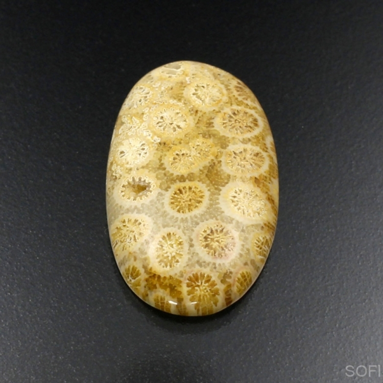 Камень агатизированный Коралл натуральный 26.20 карат арт 25706