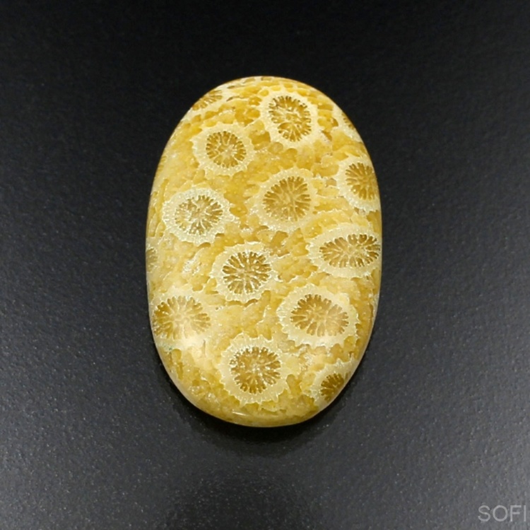 Камень агатизированный Коралл натуральный 26.50 карат арт 12844