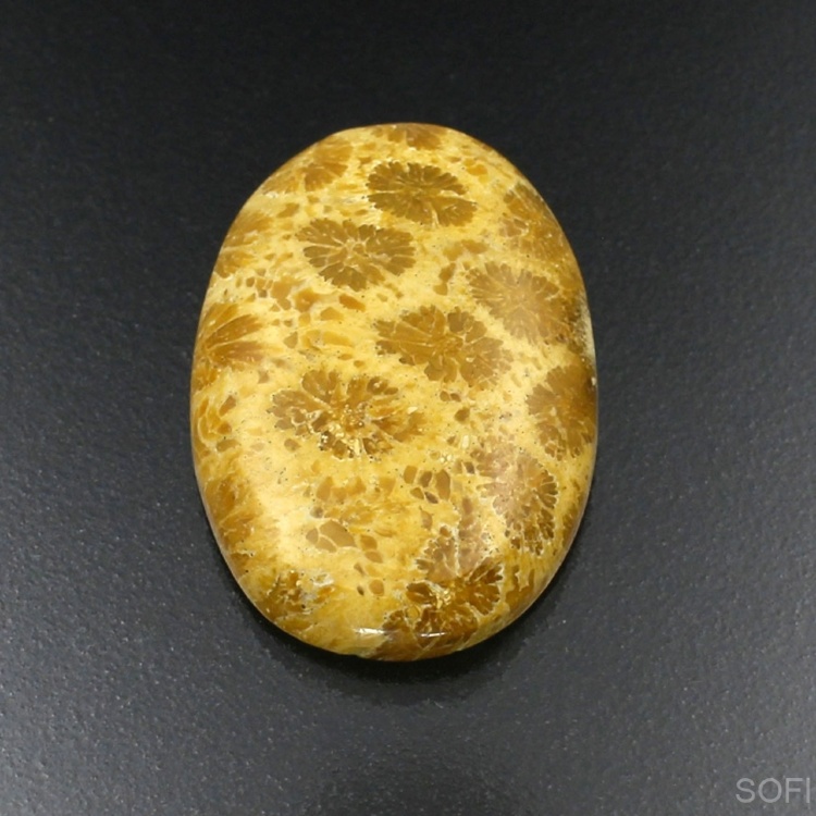 Камень агатизированный Коралл натуральный 28.85 карат арт 12768