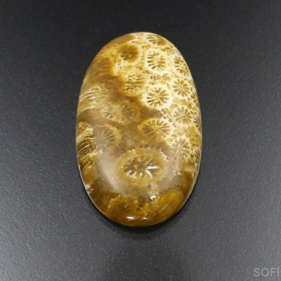Камень агатизированный Коралл натуральный 34.55 карат арт 19176