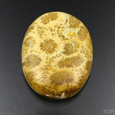 Камень агатизированный Коралл натуральный 37.40 карат арт 16230