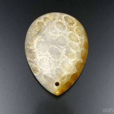 Камень агатизированный Коралл натуральный 89.50 карат арт 16804