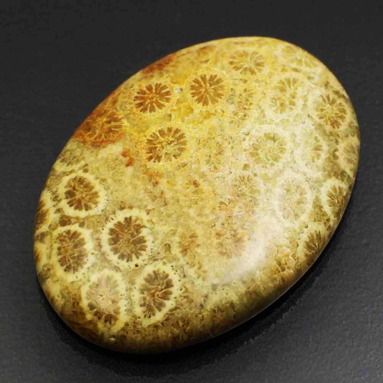  Камень агатизированный Коралл натуральный 34.95 карат арт. 0411