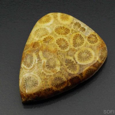  Камень агатизированный Коралл натуральный 29.00 карат арт. 9987
