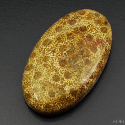  Камень агатизированный Коралл натуральный 32.00 карат арт 12016