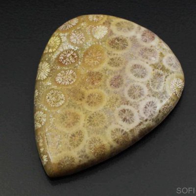  Камень агатизированный Коралл натуральный 45.00 карат арт 15088