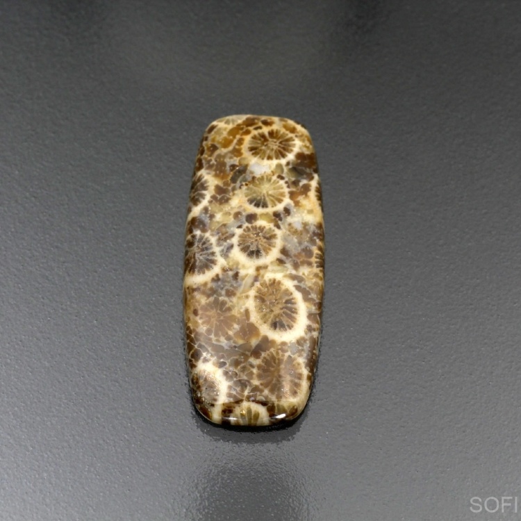 Камень агатизированный Коралл натуральный 14.70 карат арт 26567