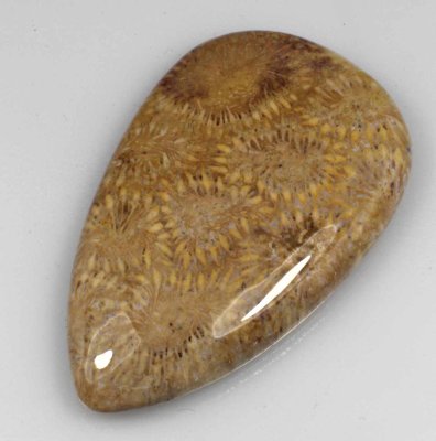  Камень агатизированный Коралл натуральный 78.50 карат арт 16084