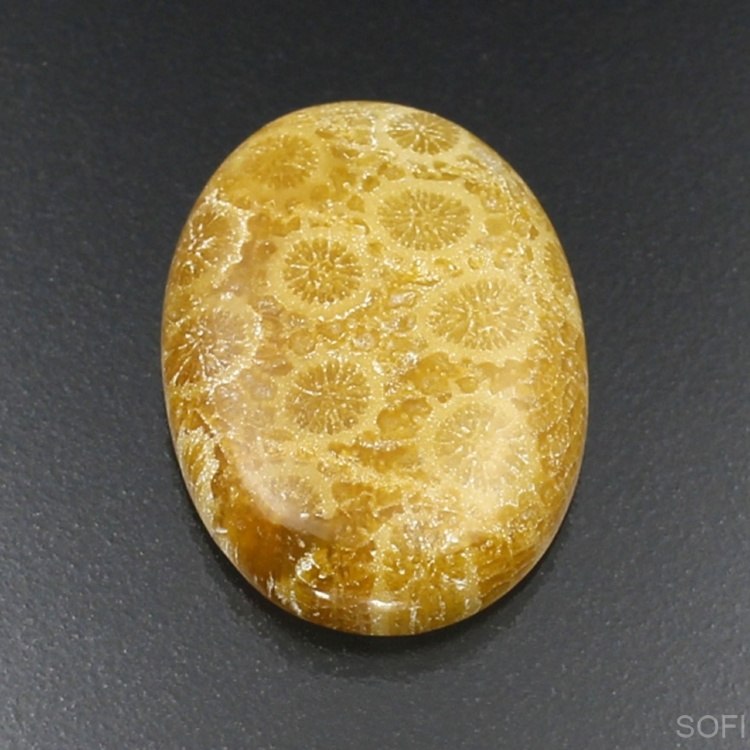 Камень агатизированный Коралл натуральный 25.05 карат арт 24068