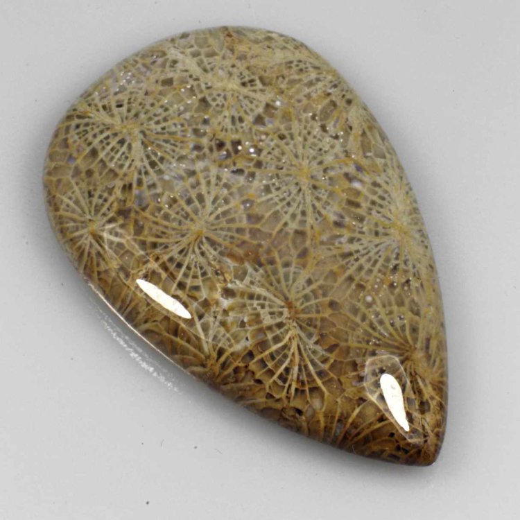  Камень агатизированный Коралл натуральный 80.00 карат арт 16087